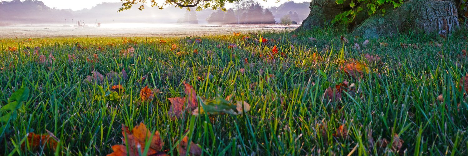 ntthinh2006's profile banner image
