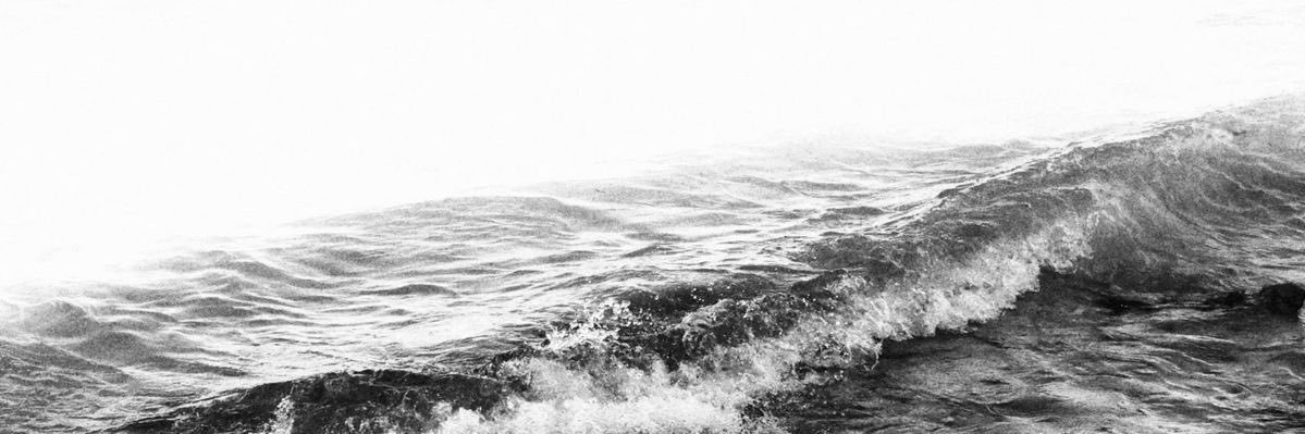 zanyatonet's profile banner image