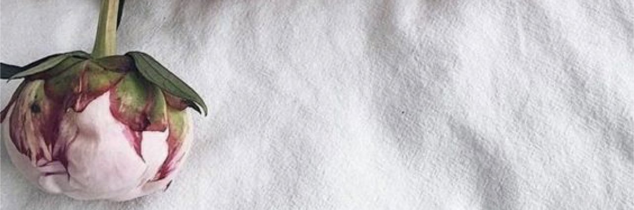 Noo5Noo's profile banner image