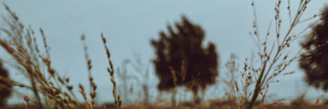 mmm8881's profile banner image