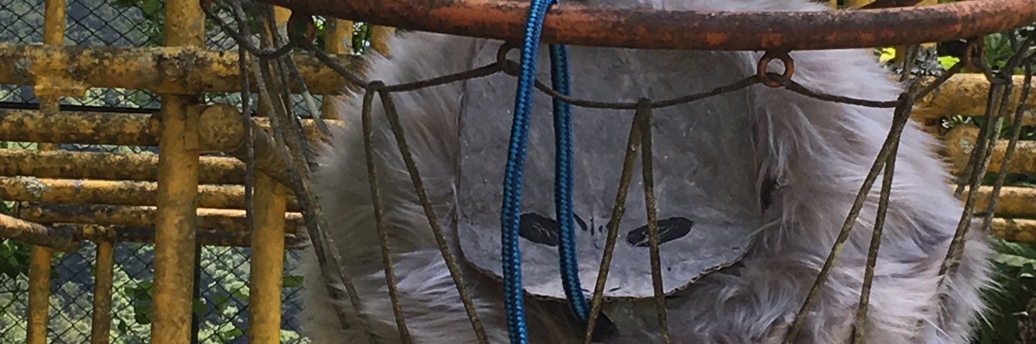 翠茄❁⃘*.ﾟ banner