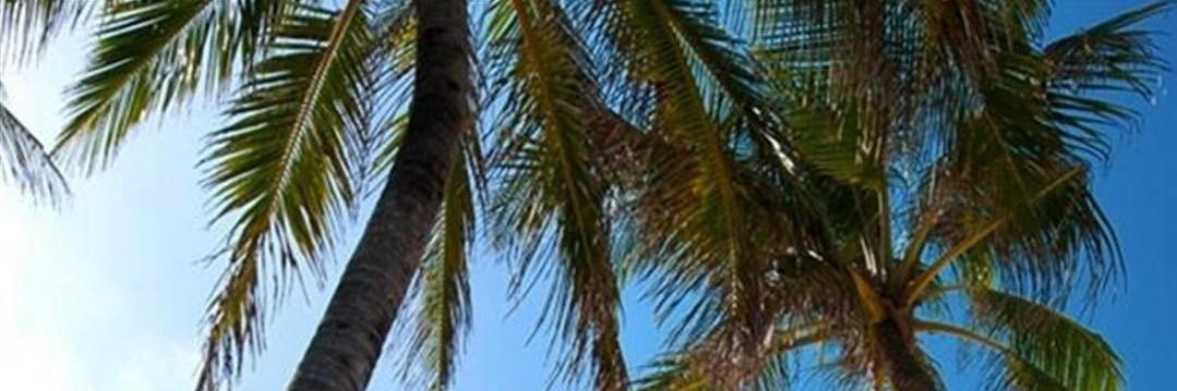 ChunksOfun's profile banner image