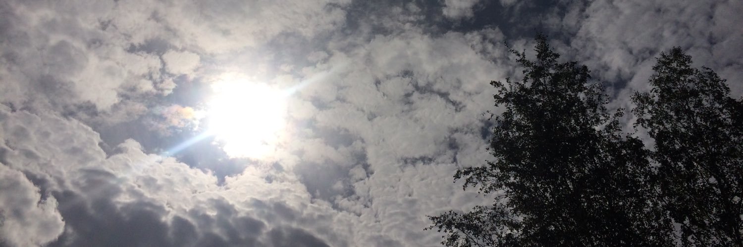 Ingrid Andersson ✨ banner