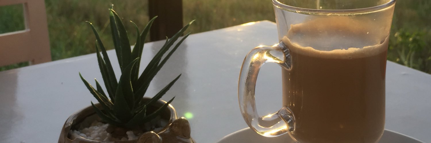reneehimar's profile banner image