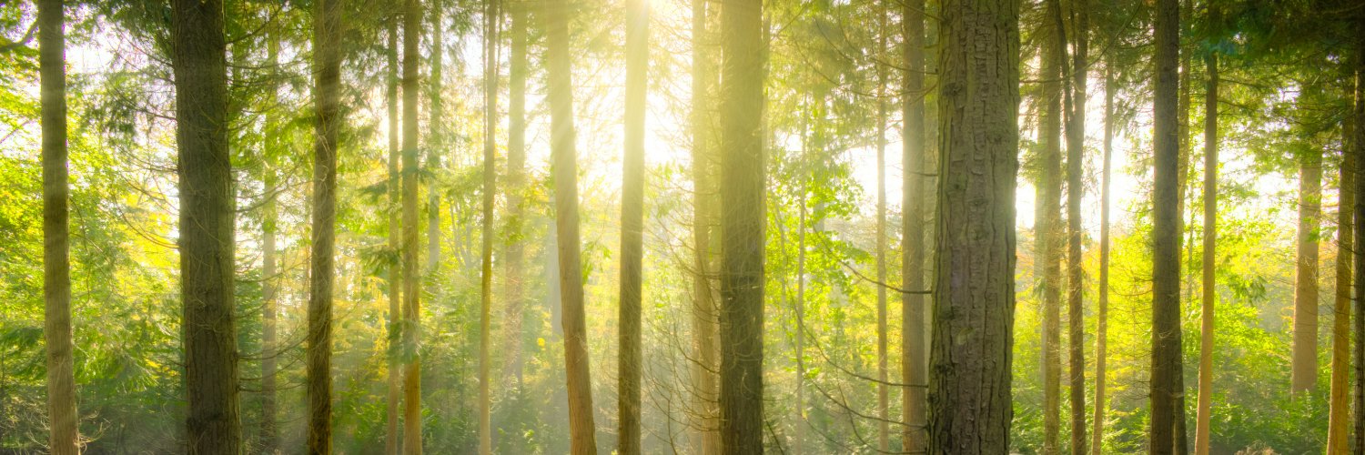 tonester524's profile banner image