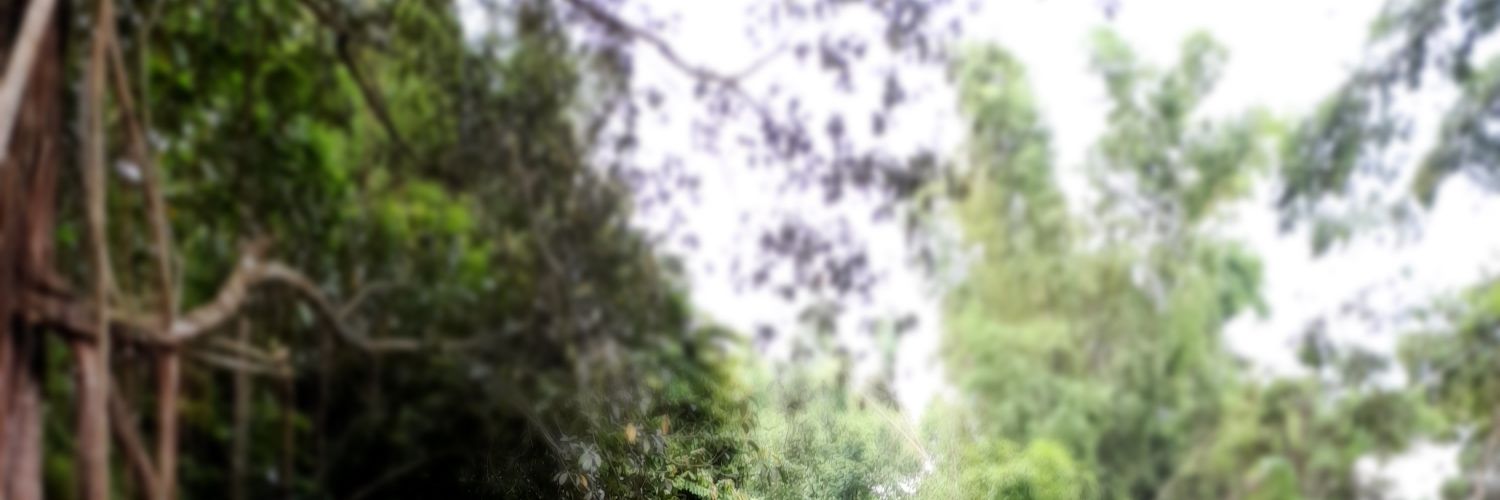 GyovaniS's profile banner image