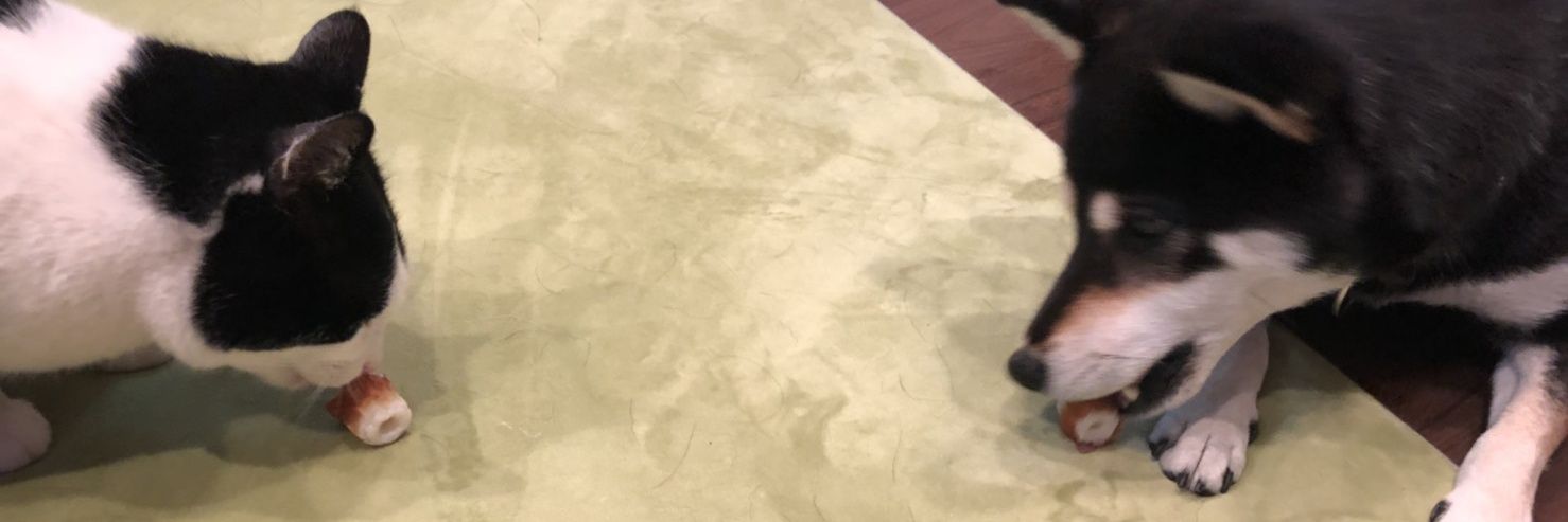 lowpric's profile banner image