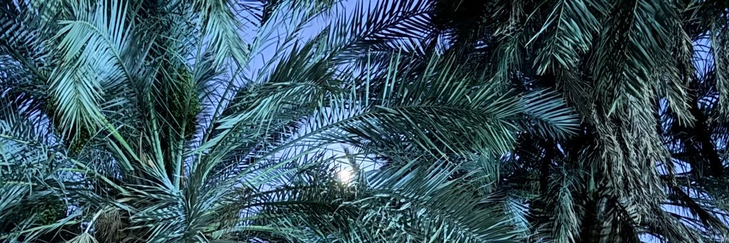 azoooo32's profile banner image