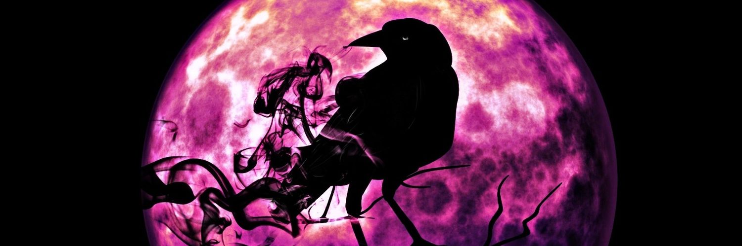 Lilbit6283's profile banner image