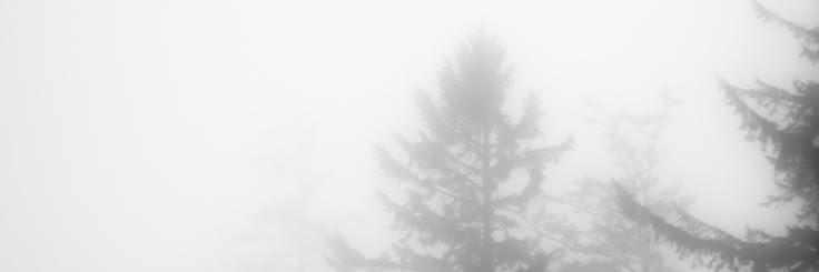 Letha_Amber's profile banner image