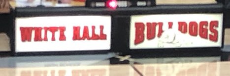 🐾Bulldogs🐾 banner