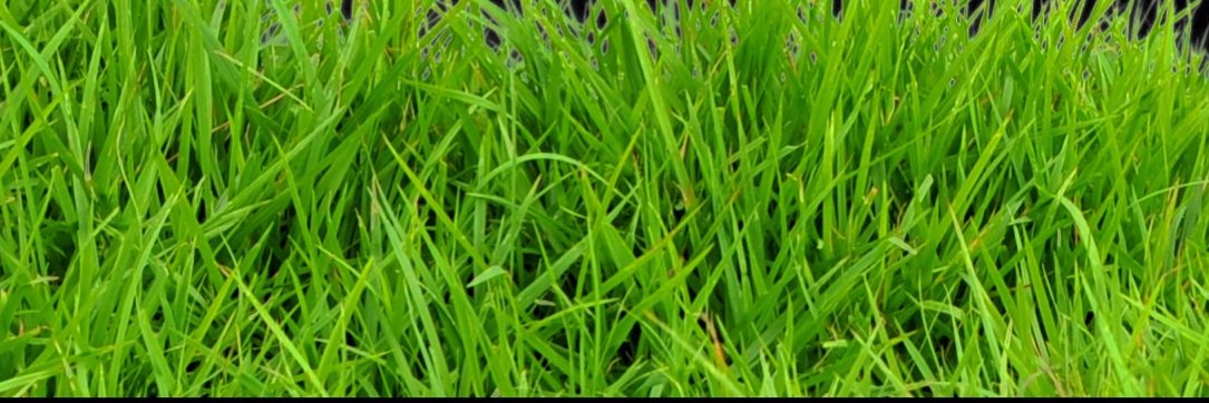 CreativehouseMK banner