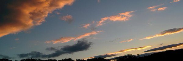 xfxie Profile Banner
