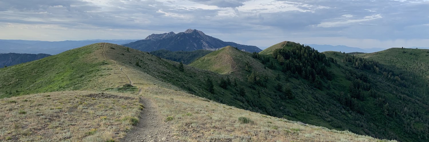 runthetrailz's profile banner image