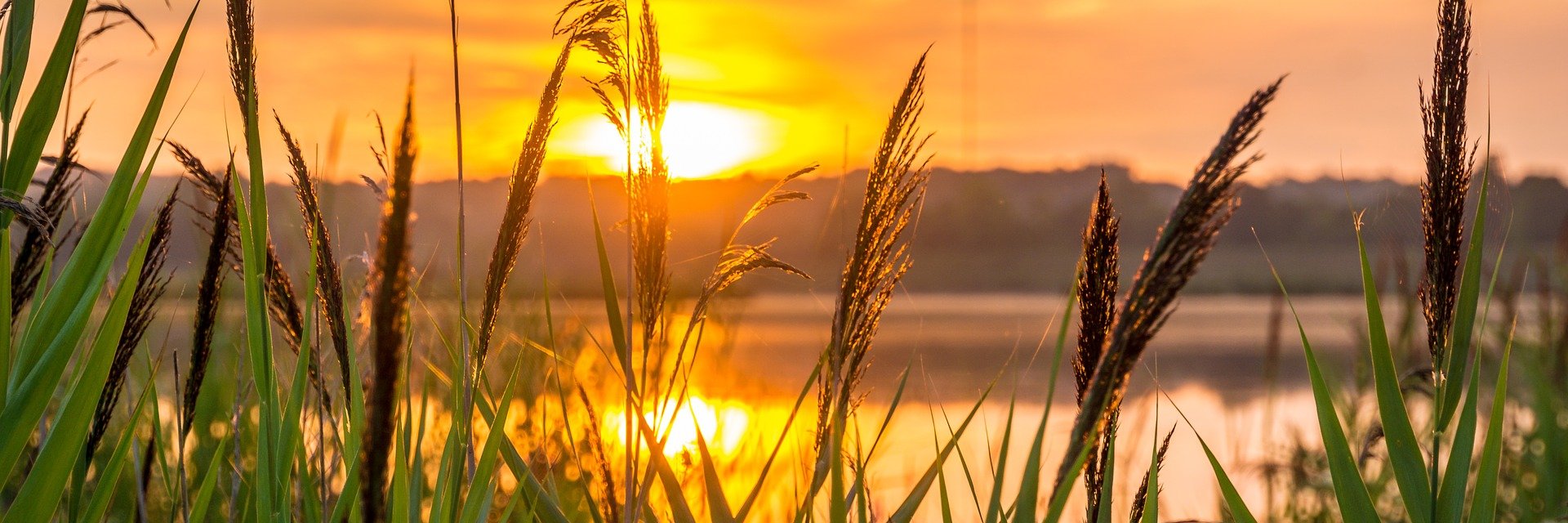 tolathinks's profile banner image