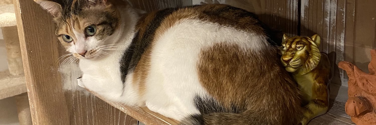 すず@文具マーケット2/22 K-07 banner