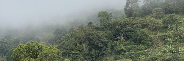 LouridoLab Profile Banner