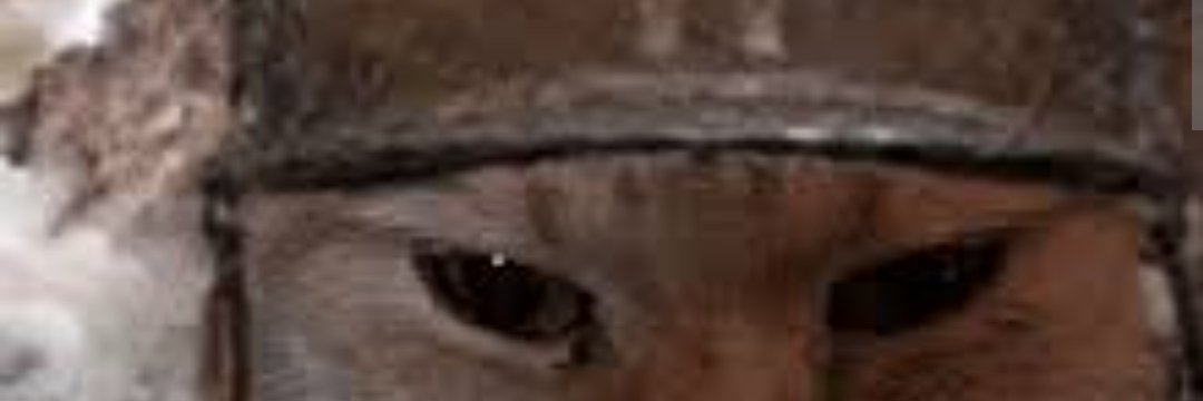 KennCaffrey's profile banner image