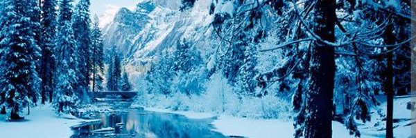 StephanieMlvo Profile Banner