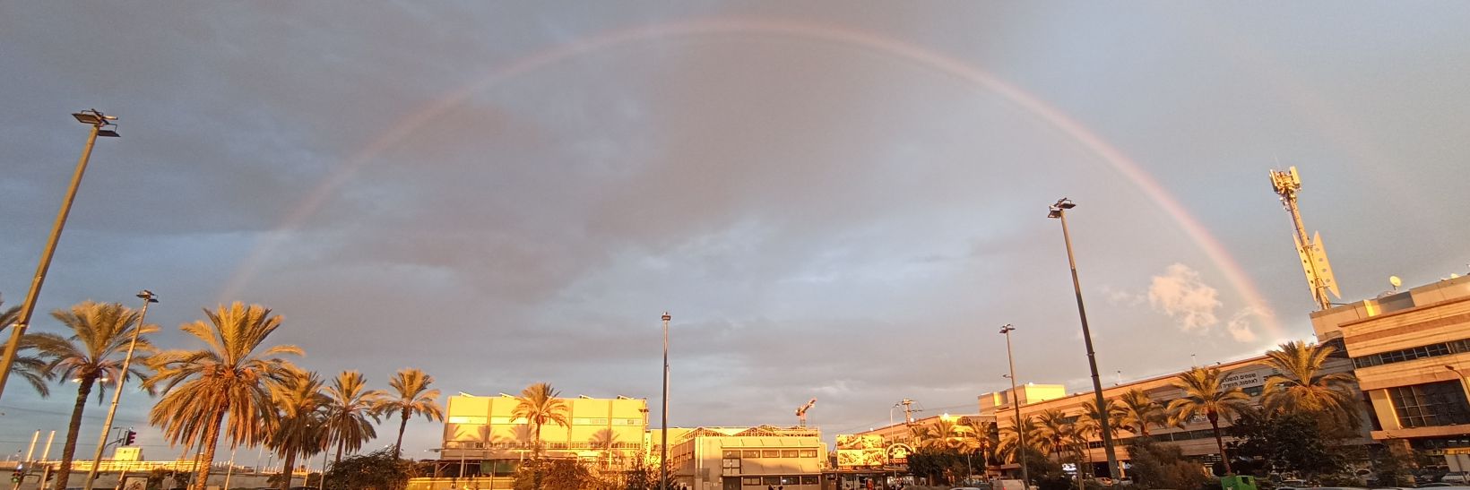 משה טננבוים banner