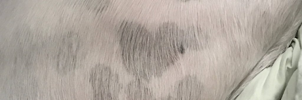 elljay1371's profile banner image