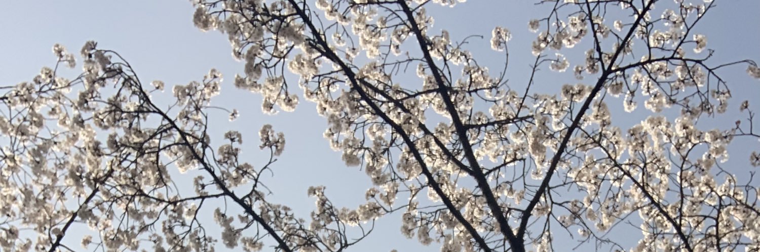 Océ ⁷ 💜 banner