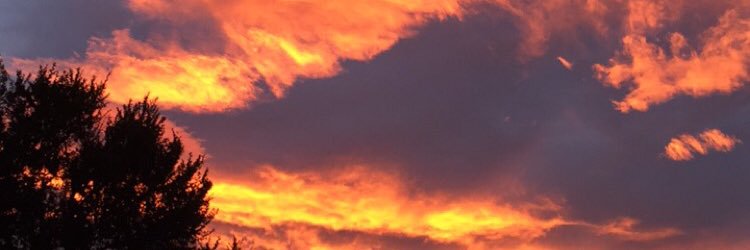 GeeCarla's profile banner image