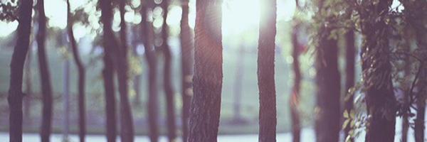 Mel banner