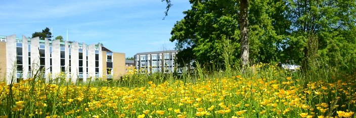 Van Mildert Alumni banner