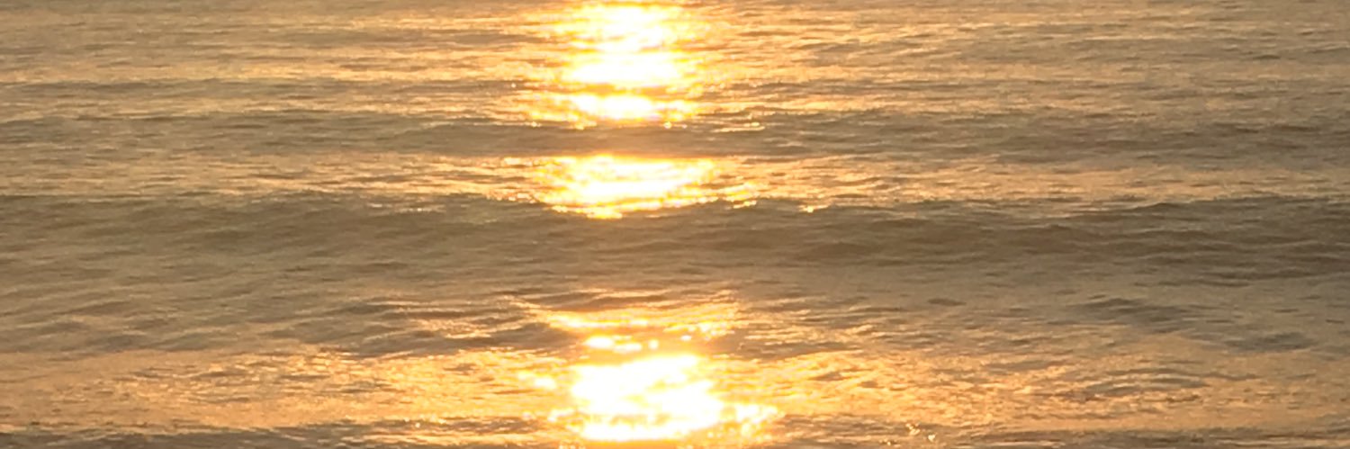 panxoganxo's profile banner image