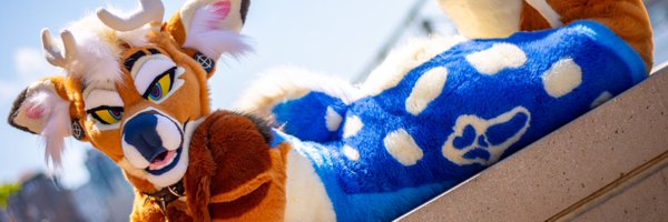 MojoYote Profile Banner