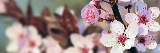 FGiamport's profile banner image
