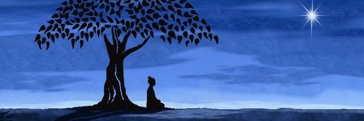 🌍GeoJan ☮ lid van D66 banner