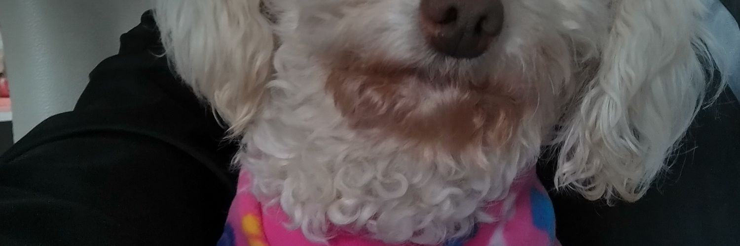 LecheDiente's profile banner image