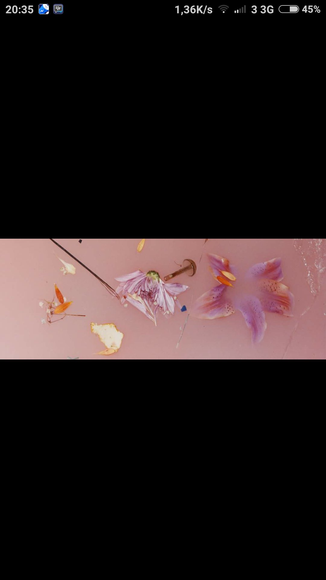 Misy1810's profile banner image