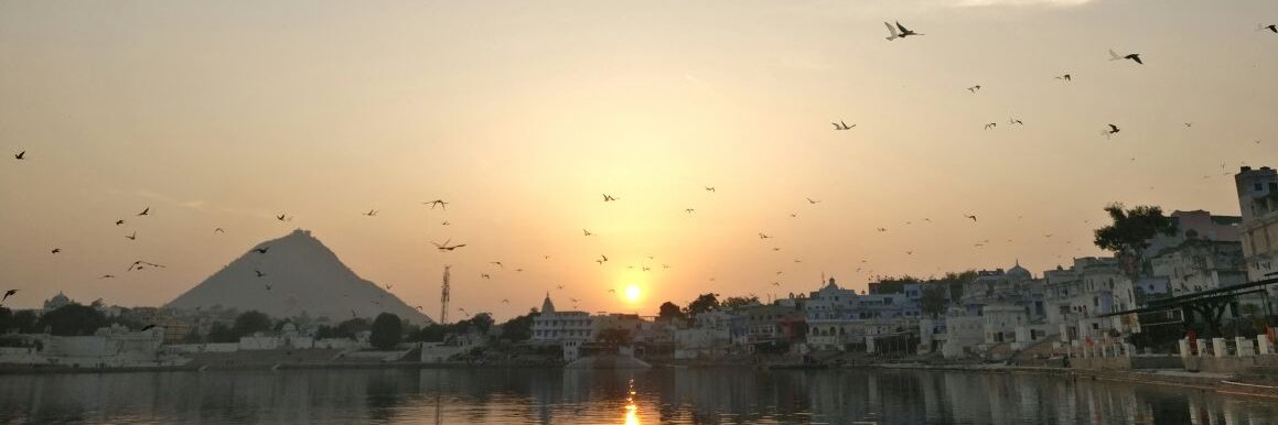 AanchalTuli's profile banner image