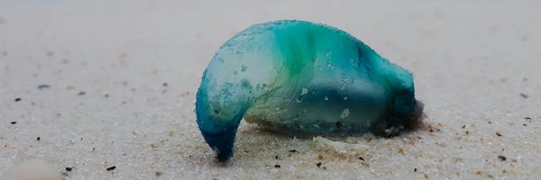 beepboop Profile Banner