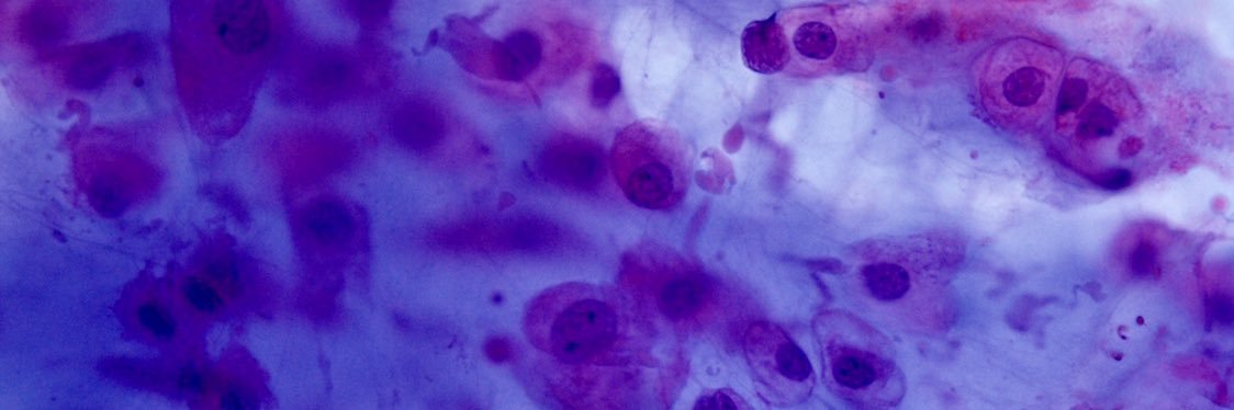 Sam Khader, MD banner