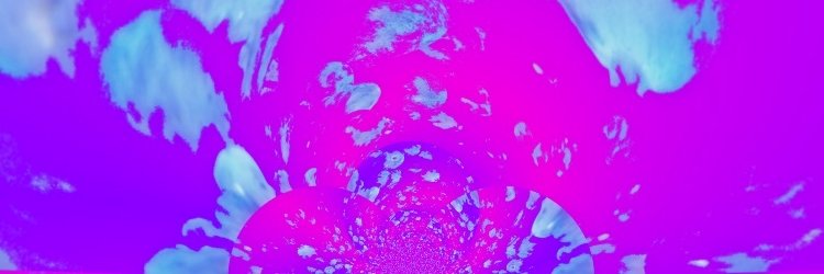 seasludge's profile banner image