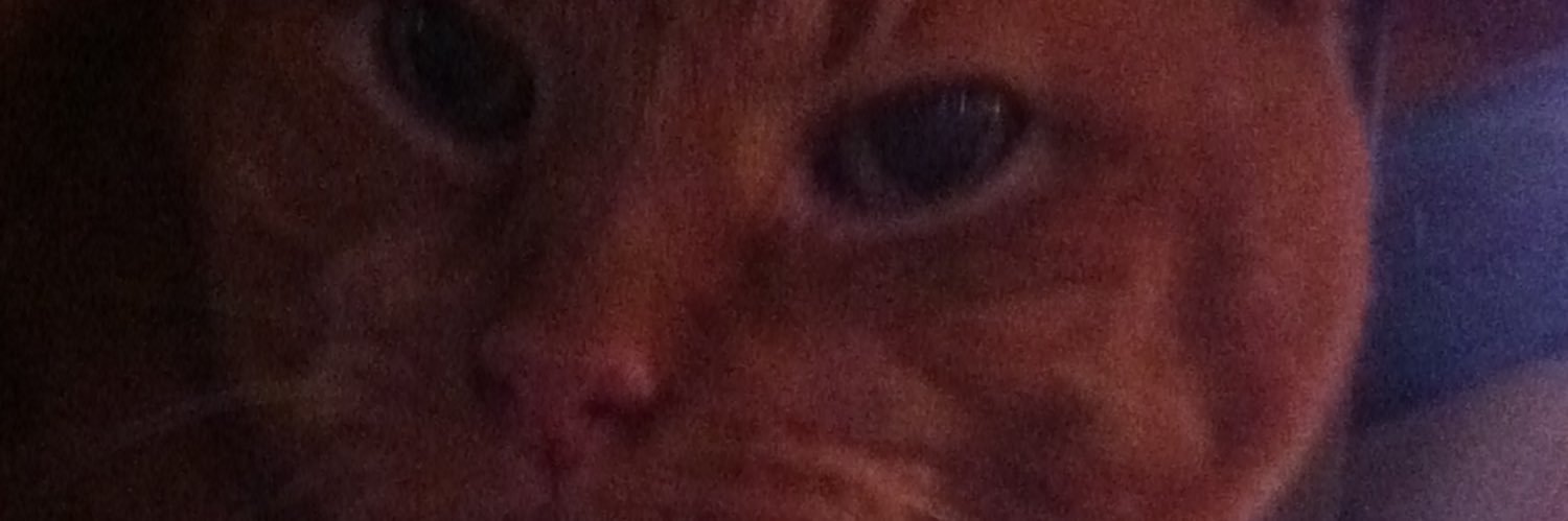 Nutmeg33_US's profile banner image