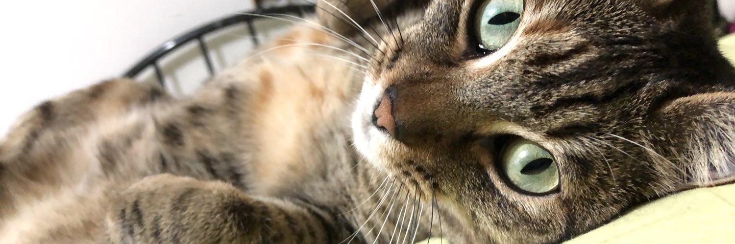 mareencalma's profile banner image