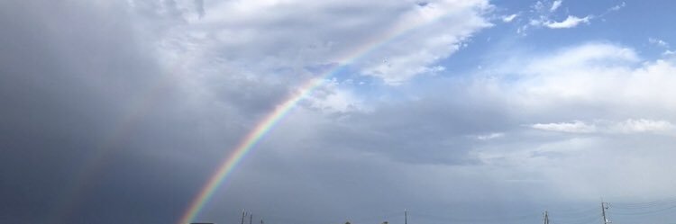 happybranch55's profile banner image