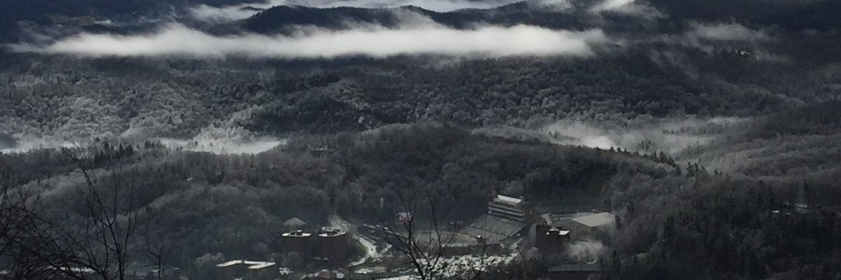 Stephen J Poulos banner