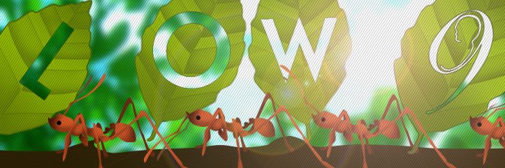 Mellow9's profile banner image