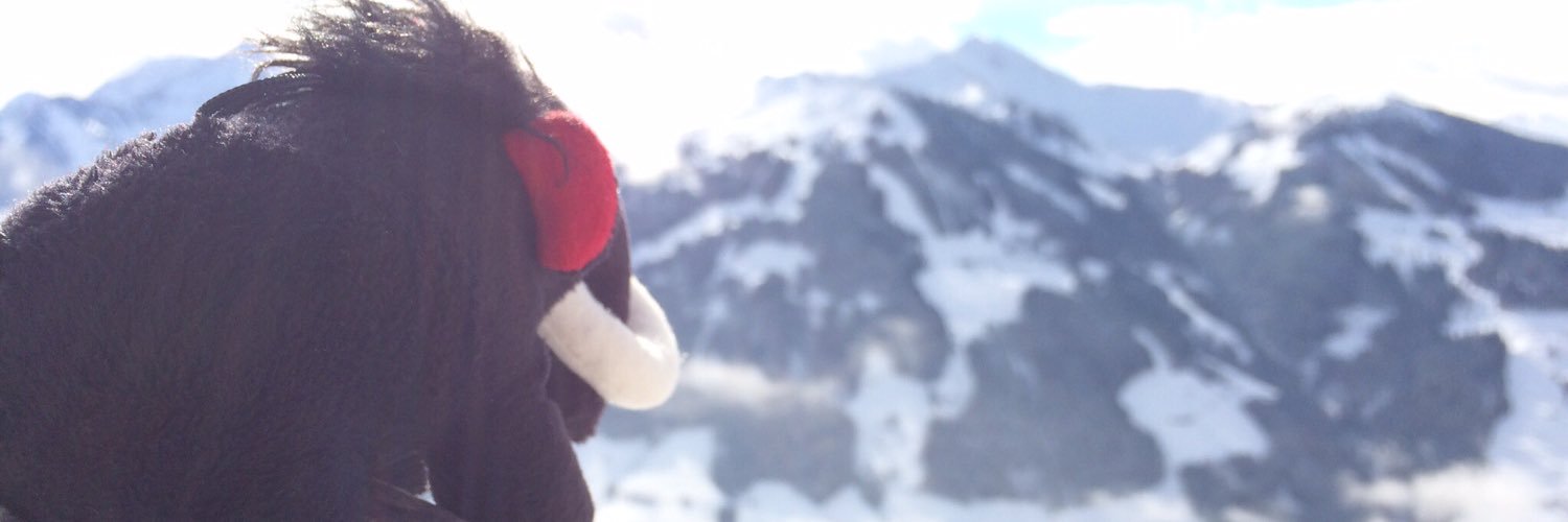 Otto Gerlesberger banner