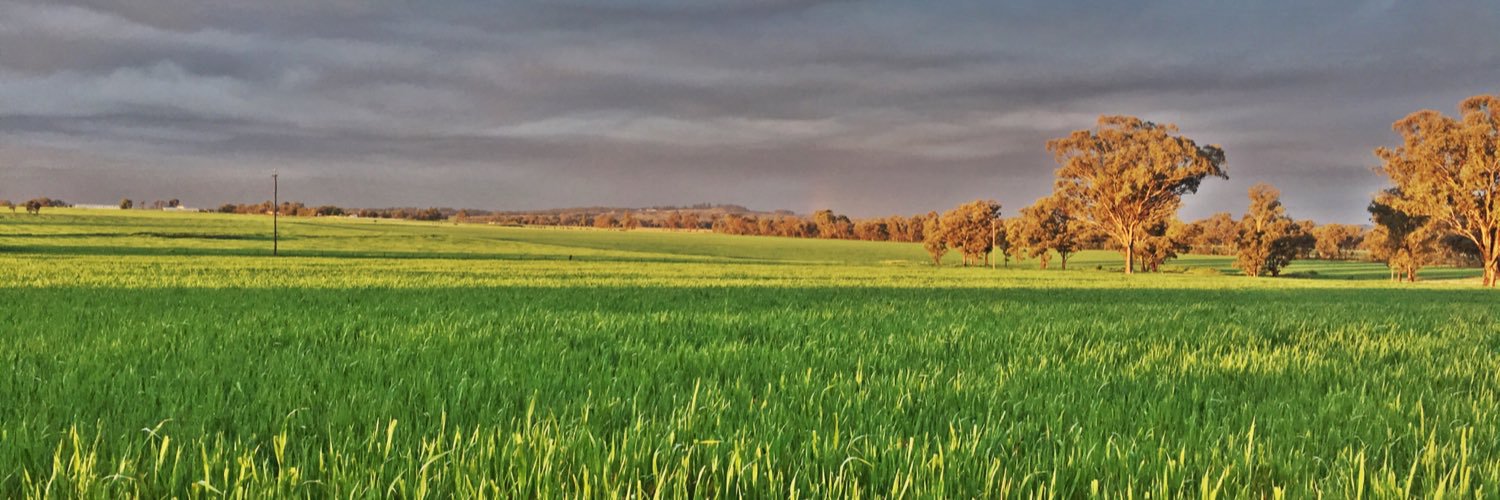 JAMcGregorLSP's profile banner image