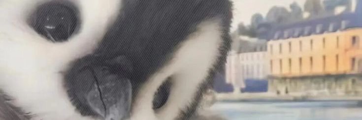 chickenwings🍗 banner