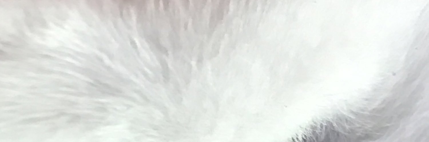 15OOrb's profile banner image