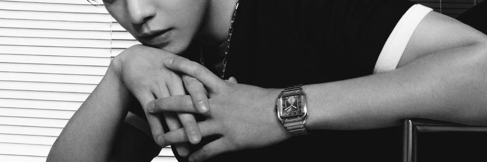 jevian ts banner