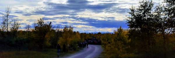 winswan Profile Banner